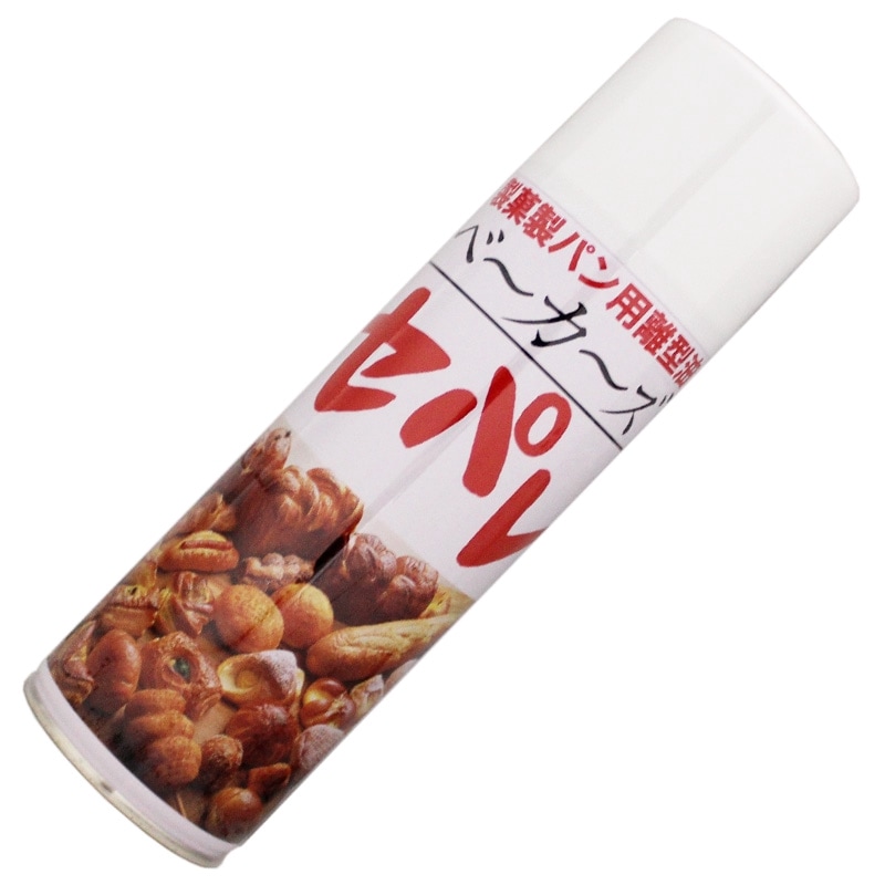 �١����������ѥ졡��