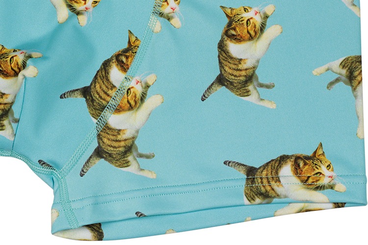 Darkshiny Tobineko 飛び猫 コラボ メンズマイクロボクサーパンツ Sky スカイ メンズ メンズ レディースボクサーパンツ Dark Shiny