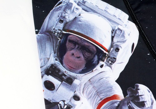  ٥ ޥܥѥ - ASTRONAUT APE ȥΡ 