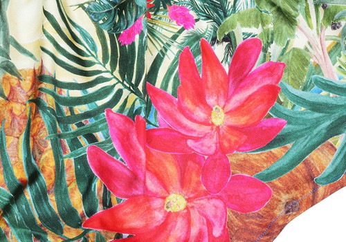  륯ȥ󥯥 - HAWAIIAN RESORT ϥ磻꥾