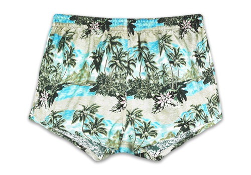 ��� ���륯�ȥ�󥯥� - ALOHA ������