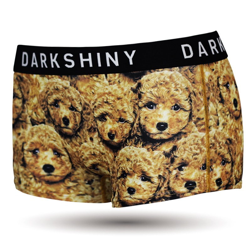 ǥ ٥ ܥѥ - TOY POODLE ȥסɥ