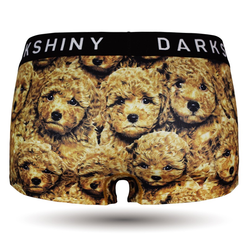 ǥ ٥ ܥѥ - TOY POODLE ȥסɥ