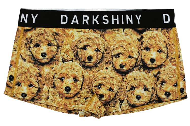 ǥ ٥ ܥѥ - TOY POODLE ȥסɥ