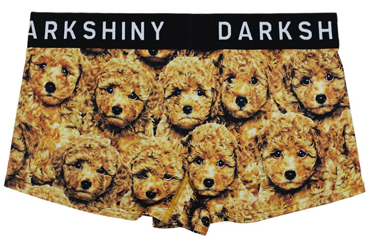 ǥ ٥ ܥѥ - TOY POODLE ȥסɥ