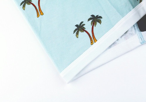 ��� �������åȥܥ������ѥ�� - PALM �ѡ���