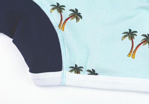 ��� �������åȥܥ������ѥ�� - PALM �ѡ���