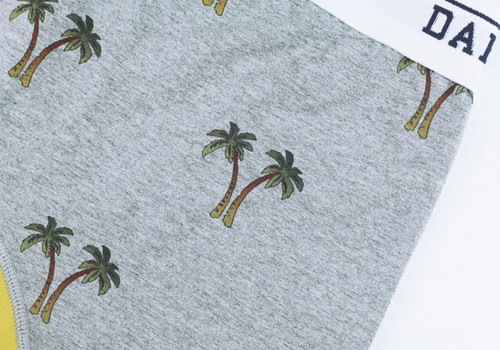 ��� �������åȥܥ������ѥ�� - PALM �ѡ���