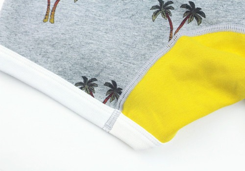 ��� �������åȥܥ������ѥ�� - PALM �ѡ���