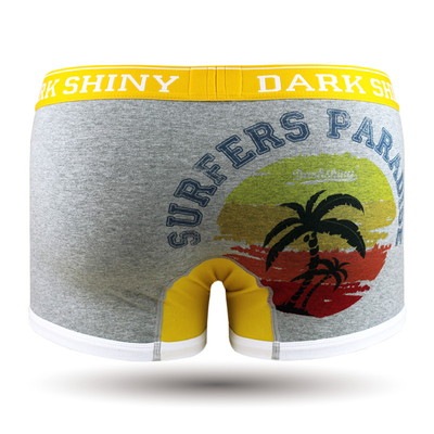 ��� �������åȥܥ������ѥ�� - SURFERS PARADISE �����ե������ѥ������