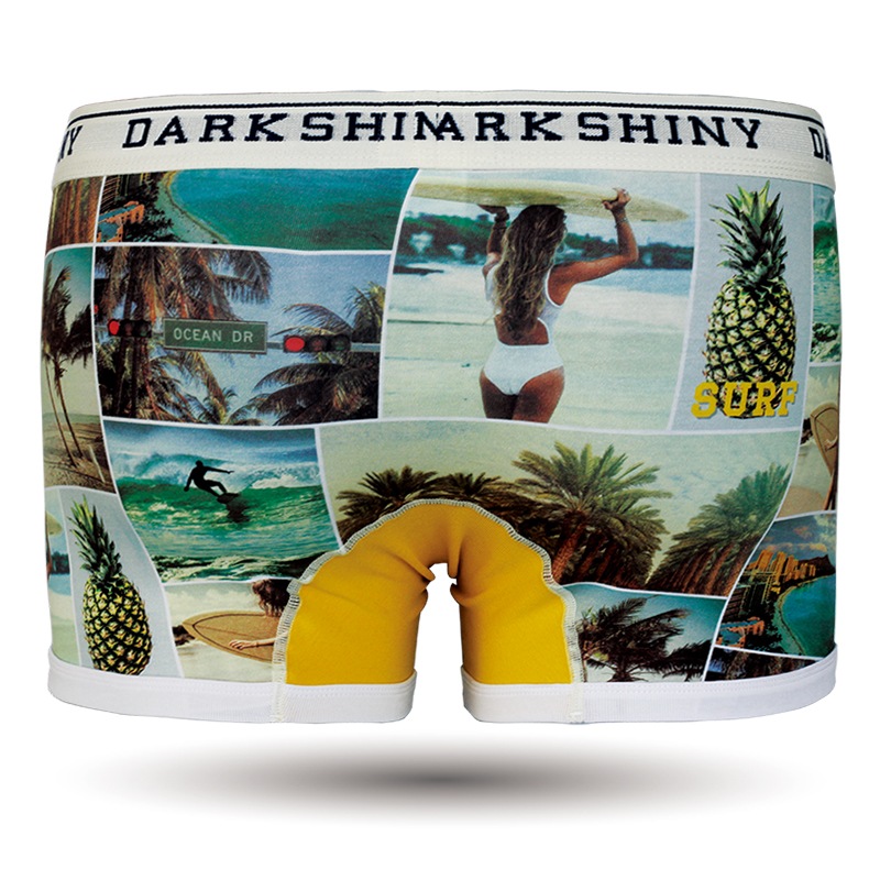 ��� �������åȥܥ������ѥ�� - SUMMER PHOTOGRAPH ���ޡ��ե��ȥ����