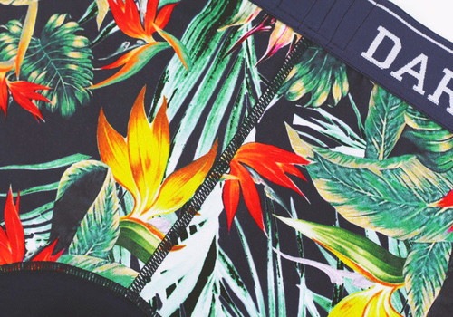  åȥܥѥ - TROPICAL ȥԥ