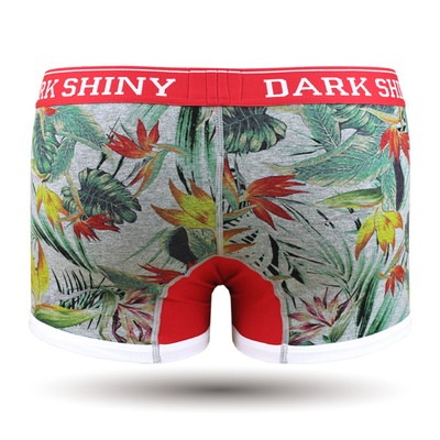 ��� �������åȥܥ������ѥ�� - TROPICAL �ȥ��ԥ���