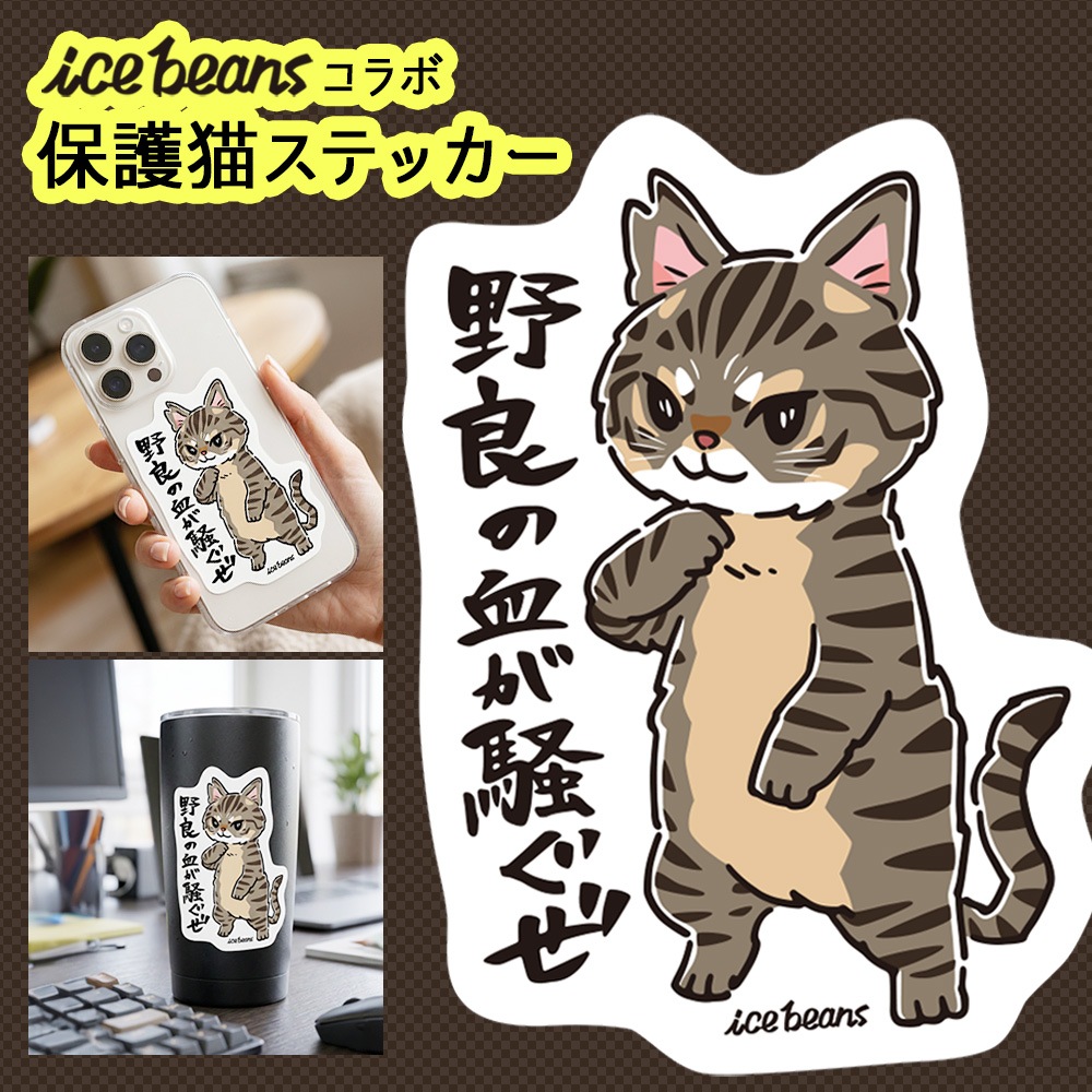 �ݸ�ǭ���ƥå��������ɤη줬��������