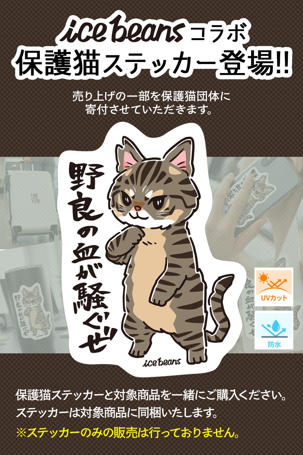 �ݸ�ǭ���ƥå��������ɤη줬��������