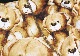  ٥ ޥܥѥ - TEDDY BEAR ƥǥ٥