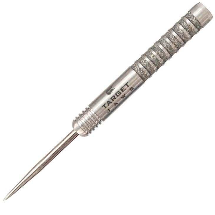 target PERFECT STORM 25g スティールダーツ バレル（TARGET