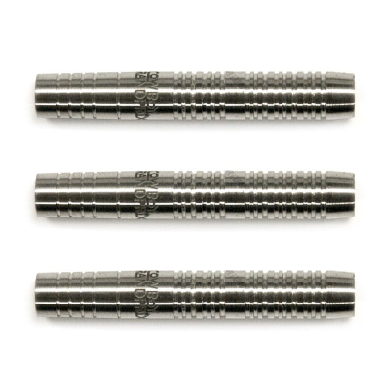 ダーツ用品なら何でも揃う日本最大規模のダーツ通販ショップ【DARTS HiVe】