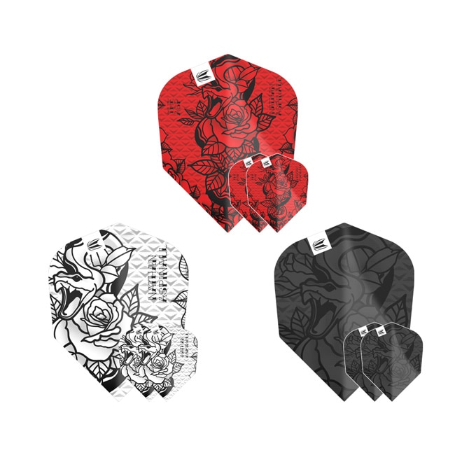 本日のみ値下げ　アキュバンス　ジャービスとTAO3セット 本日のみ値下げ アキュバンス ジャービスとTAO3セット 本日のみ値下げ