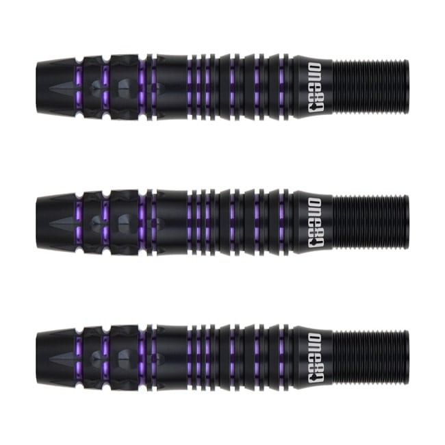 ダーツ用品なら何でも揃う日本最大規模のダーツ通販ショップ【DARTS HiVe】