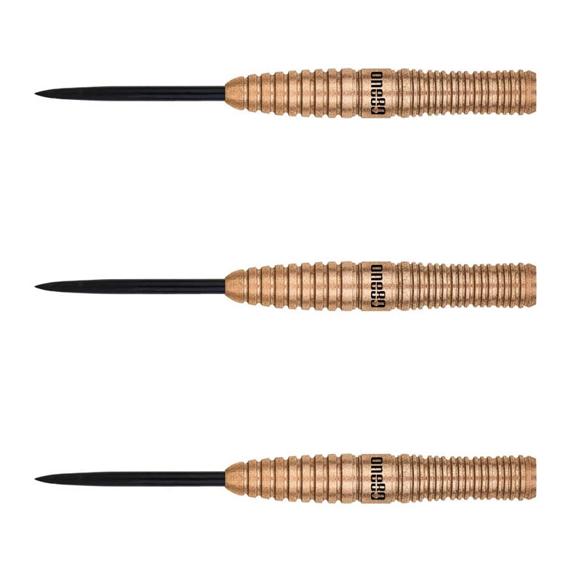 ダーツ用品なら何でも揃う日本最大規模のダーツ通販ショップ【DARTS HiVe】