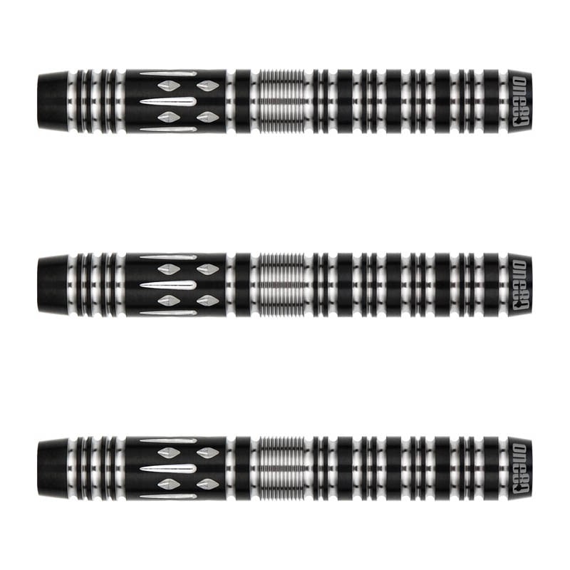 ダーツ用品なら何でも揃う日本最大規模のダーツ通販ショップ【DARTS HiVe】