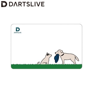 DARTSLIVE CARD #056 02䡡( )