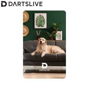 DARTSLIVE CARD #056 07䡡( )