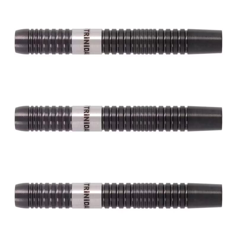 ダーツ用品なら何でも揃う日本最大規模のダーツ通販ショップ【DARTS HiVe】