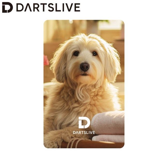 DARTSLIVE CARD 獣王 40thAnniversary DARTSLIVE CARD 獣王オールキャスト - メルカリ