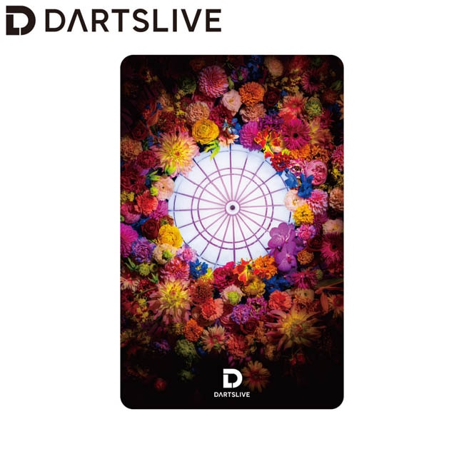 アクセサリ > ダーツライブカード > DARTSLIVE CARD #057 ＜13