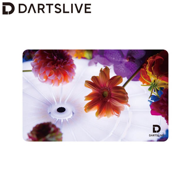 【超レア】DARTSLIVEカード　二枚セット アクセサリ > ダーツライブカード > DARTSLIVE CARD #058 20枚セット