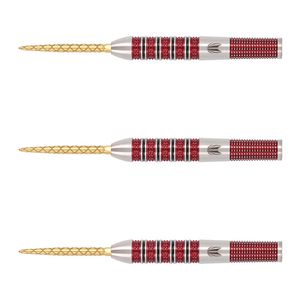 TARGETネイサン・アスピナルNATHAN ASPINALL定価/13300円 ターゲット ネイサン・アスピナル エコー スイスポイント Target