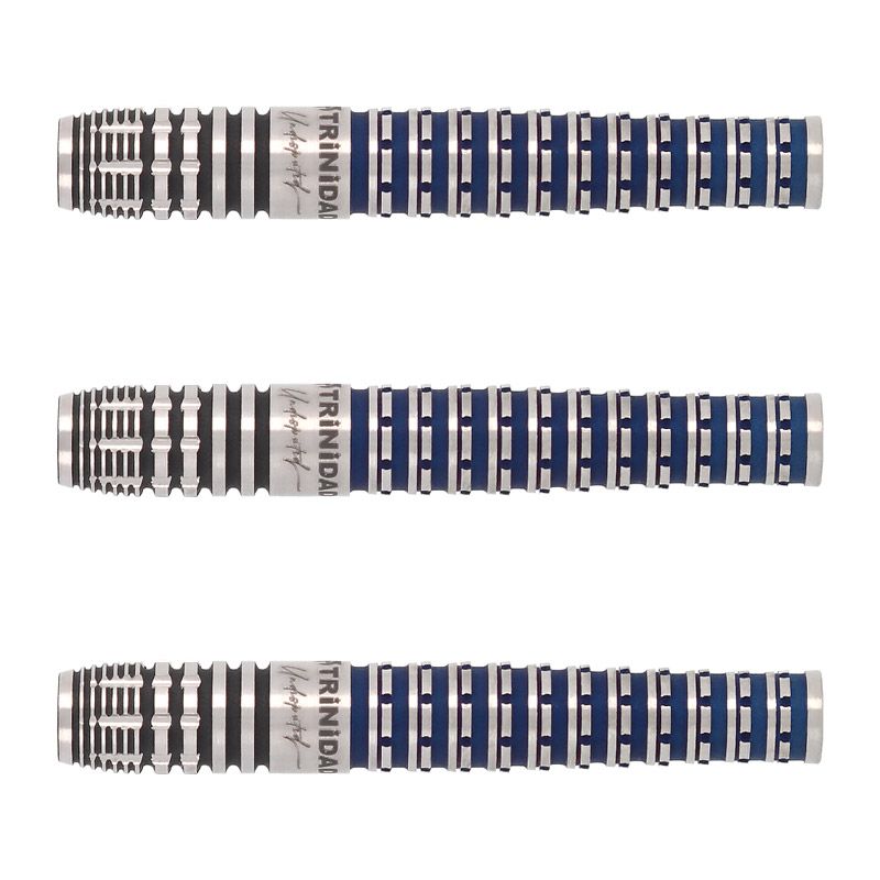 ダーツ用品なら何でも揃う日本最大規模のダーツ通販ショップ【DARTS HiVe】