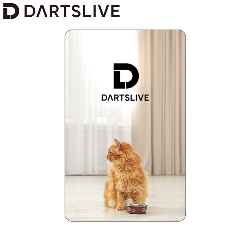 アクセサリ > ダーツライブカード > DARTSLIVE CARD #058 ＜07