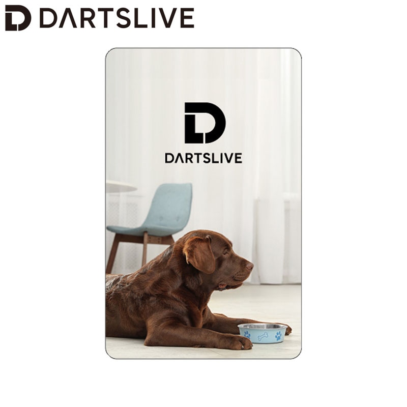 アクセサリ > ダーツライブカード > DARTSLIVE CARD #058 ＜06