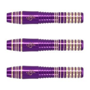 ダーツ　2BA PYRO TARGET 星野光正　GENERATION10 ダーツ > ソフトダーツ > ブランド【タ行】 > ターゲットジャパン