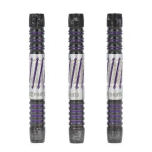 Unicorn Dimitri Van Den Bergh ディミトリ フライト ソフトダーツ Unicorn ユニコーン PREMIER ディミトリ バン デン