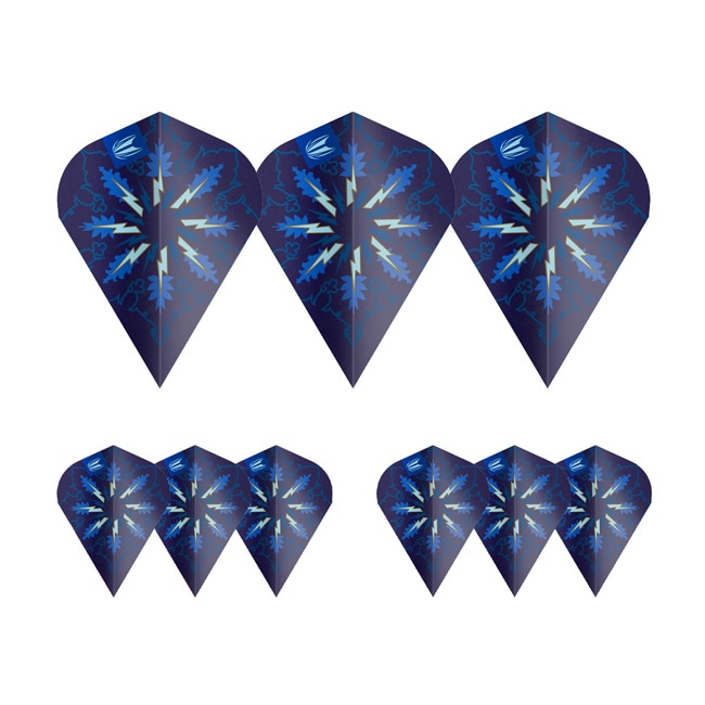 TARGET PHIL TAYLOR GENERATION TWO ダーツ TARGET PHIL TAYLOR GENERATION TWO ダーツ - メルカリ