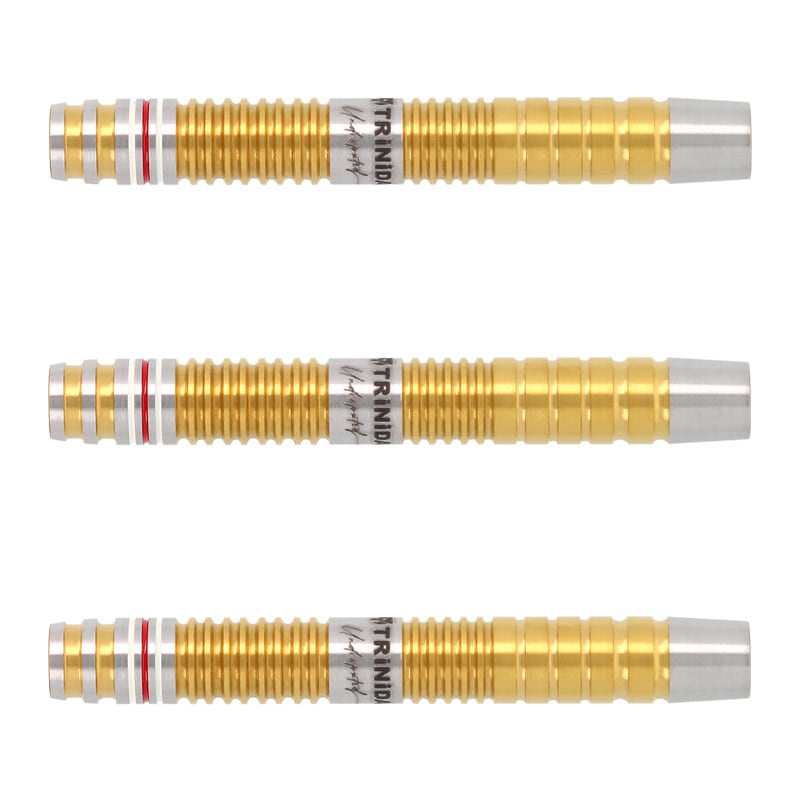 ダーツ用品なら何でも揃う日本最大規模のダーツ通販ショップ【DARTS HiVe】