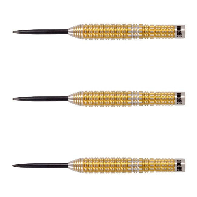 ダーツ用品なら何でも揃う日本最大規模のダーツ通販ショップ【DARTS HiVe】