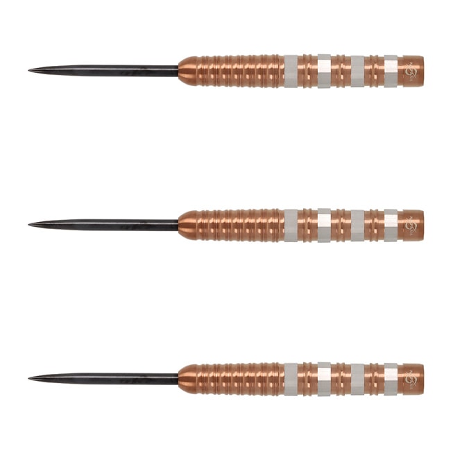 ダーツ用品なら何でも揃う日本最大規模のダーツ通販ショップ【DARTS HiVe】