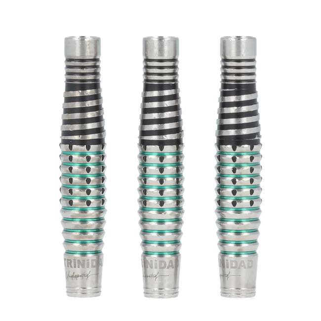 ダーツ用品なら何でも揃う日本最大規模のダーツ通販ショップ【DARTS HiVe】