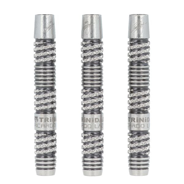 ダーツ用品なら何でも揃う日本最大規模のダーツ通販ショップ【DARTS HiVe】