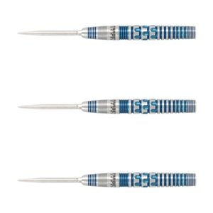 [ダーツ]RAPTOR G5[バレル] ダーツ > ソフトダーツ > ブランド【タ行】 > ターゲットジャパン