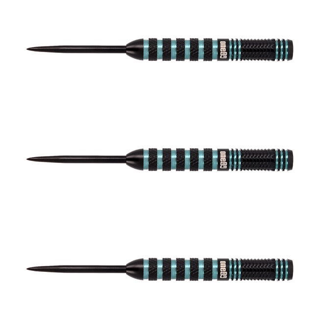 ダーツ用品なら何でも揃う日本最大規模のダーツ通販ショップ【DARTS HiVe】