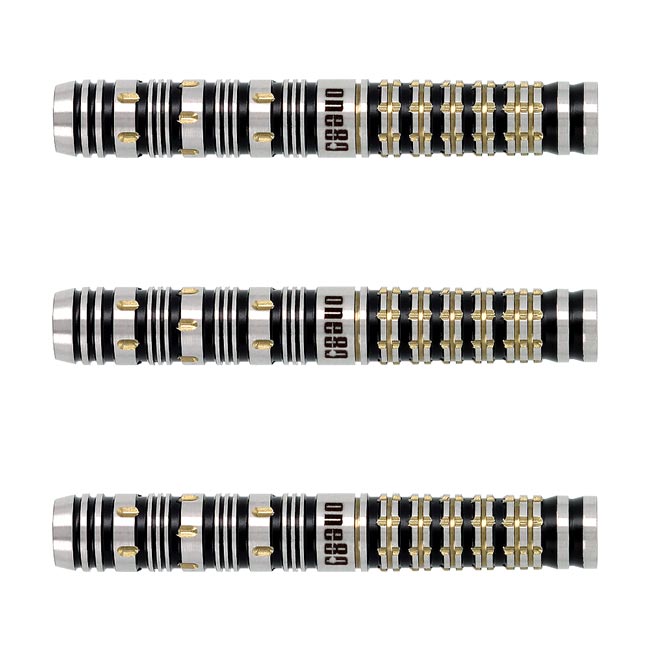 ダーツ用品なら何でも揃う日本最大規模のダーツ通販ショップ【DARTS HiVe】