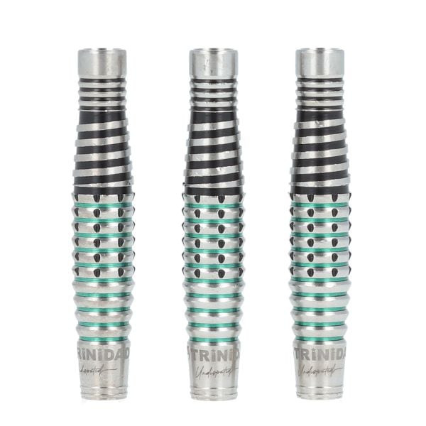 ダーツ用品なら何でも揃う日本最大規模のダーツ通販ショップ【DARTS HiVe】