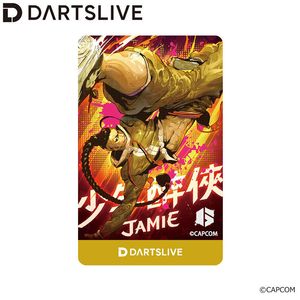 アクセサリ > ダーツライブカード > DARTSLIVE CARD #060 ＜20