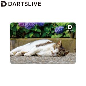 アクセサリ > ダーツライブカード > DARTSLIVE CARD #055 ＜06